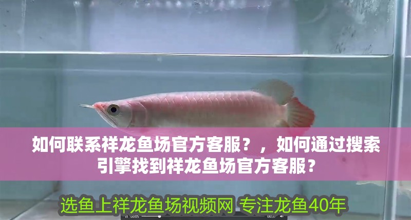 如何聯系祥龍魚場官方客服？，如何通過搜索引擎找到祥龍魚場官方客服？