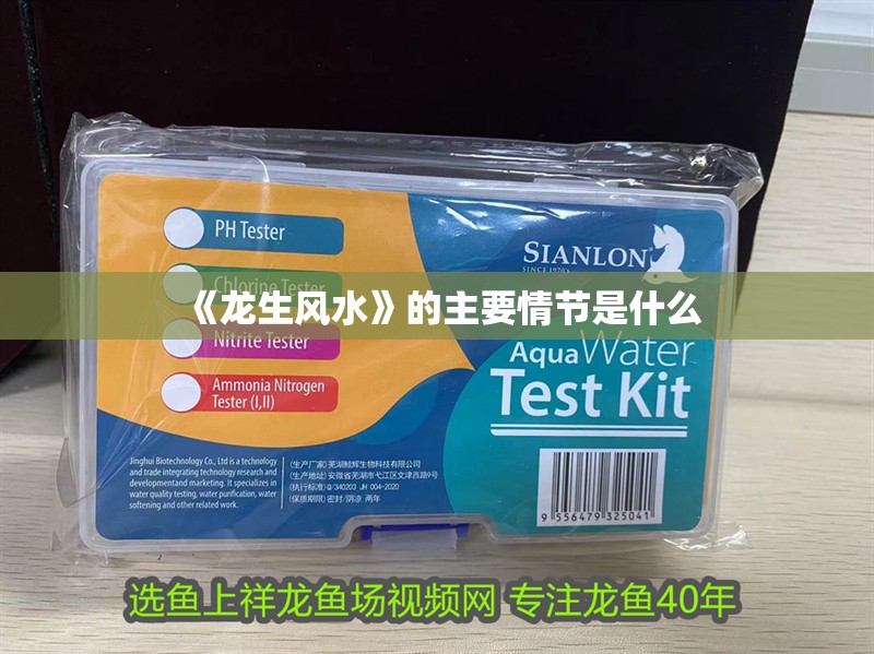 《龍生風水》的主要情節是什么