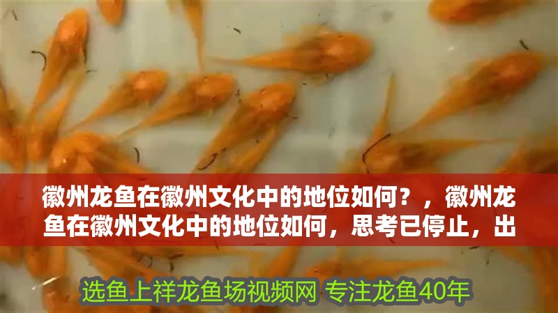 徽州龍魚在徽州文化中的地位如何？，徽州龍魚在徽州文化中的地位如何，思考已停止，出了點(diǎn)小問題