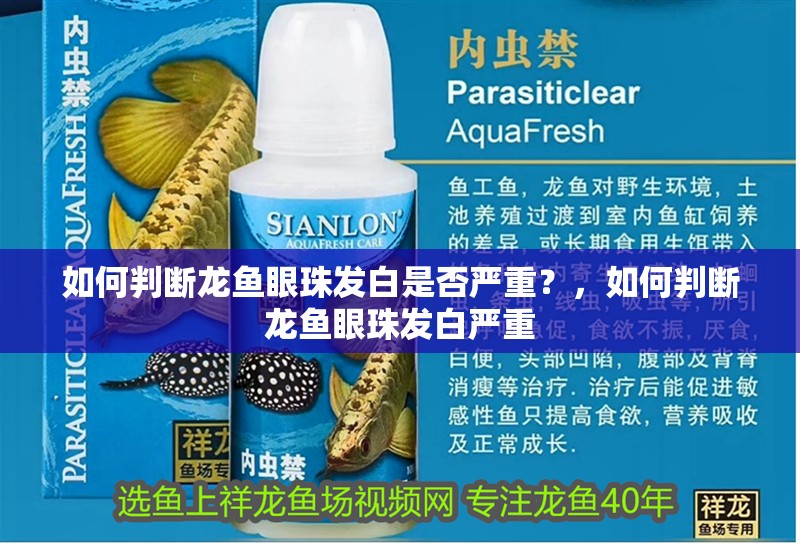 如何判斷龍魚眼珠發(fā)白是否嚴(yán)重？，如何判斷龍魚眼珠發(fā)白嚴(yán)重