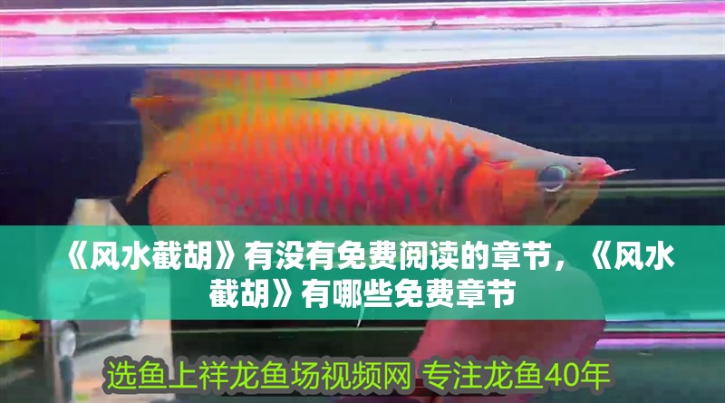 《風(fēng)水截胡》有沒有免費(fèi)閱讀的章節(jié)，《風(fēng)水截胡》有哪些免費(fèi)章節(jié)