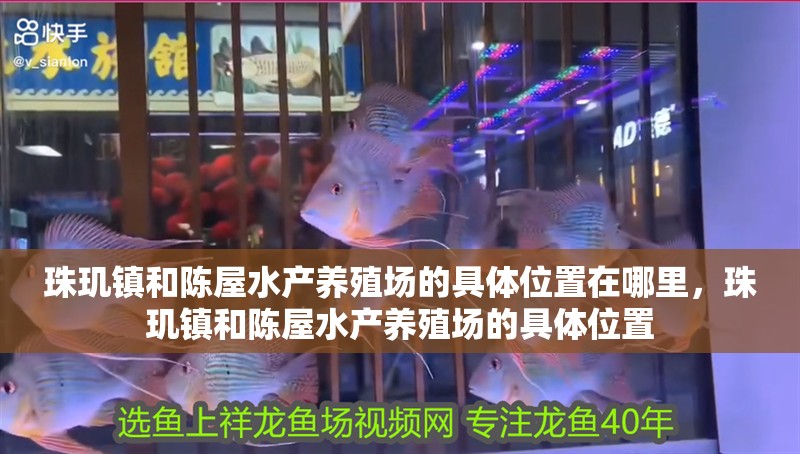 珠璣鎮(zhèn)和陳屋水產(chǎn)養(yǎng)殖場的具體位置在哪里，珠璣鎮(zhèn)和陳屋水產(chǎn)養(yǎng)殖場的具體位置