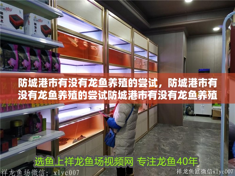 防城港市有沒有龍魚養殖的嘗試，防城港市有沒有龍魚養殖的嘗試防城港市有沒有龍魚養殖的嘗試