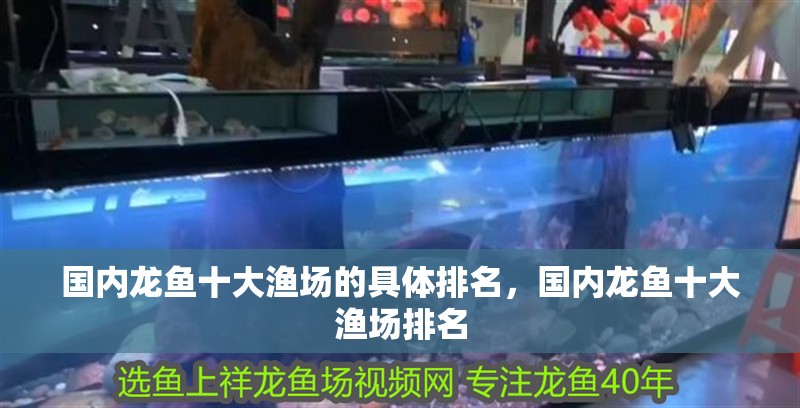 國內(nèi)龍魚十大漁場的具體排名，國內(nèi)龍魚十大漁場排名