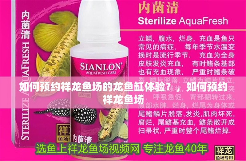 如何預約祥龍魚場的龍魚缸體驗？，如何預約祥龍魚場