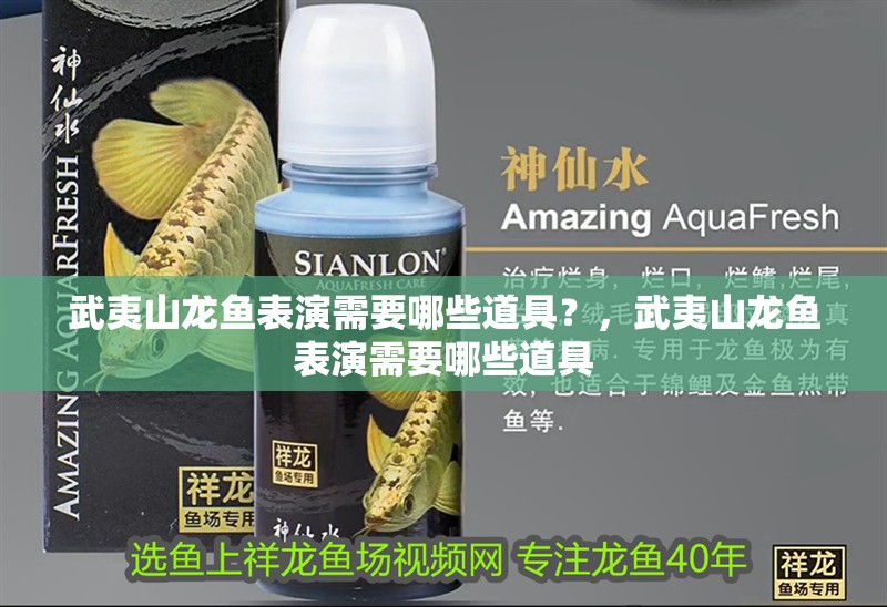 武夷山龍魚表演需要哪些道具？，武夷山龍魚表演需要哪些道具