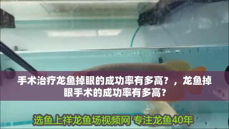 手術治療龍魚掉眼的成功率有多高？，龍魚掉眼手術的成功率有多高？