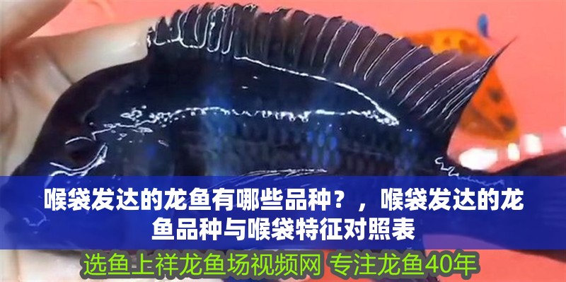 喉袋發(fā)達的龍魚有哪些品種？，喉袋發(fā)達的龍魚品種與喉袋特征對照表