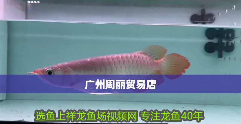 廣州周麗貿易店 廣州周麗貿易店 全國水族館企業名錄 第1張