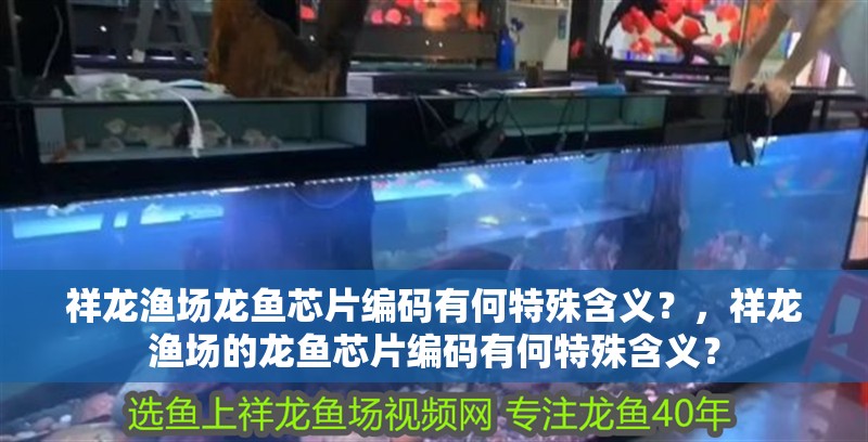 祥龍漁場龍魚芯片編碼有何特殊含義？，祥龍漁場的龍魚芯片編碼有何特殊含義？