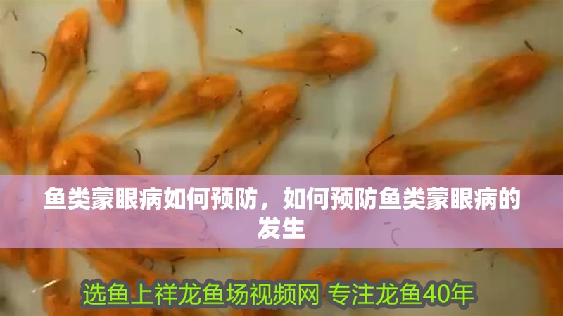 魚類蒙眼病如何預防，如何預防魚類蒙眼病的發生