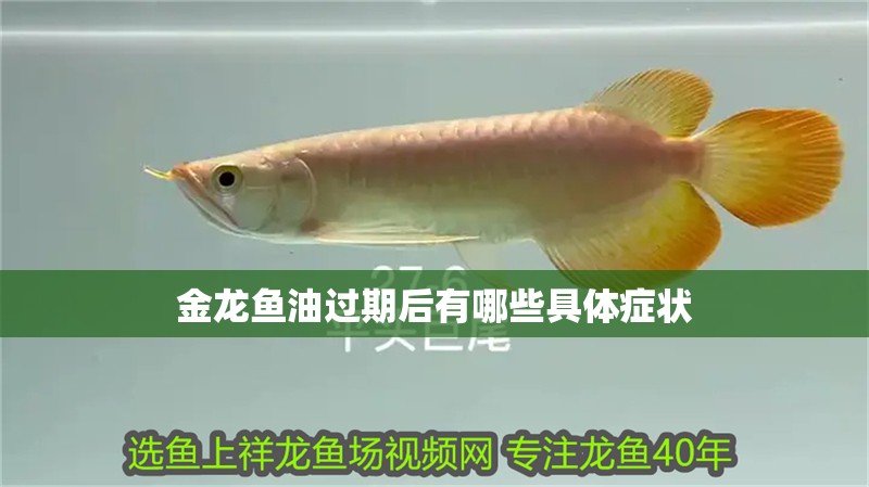 金龍魚(yú)油過(guò)期后有哪些具體癥狀