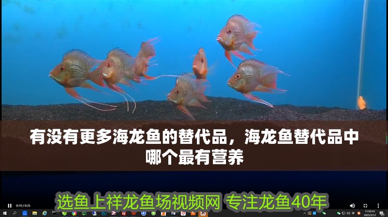 有沒有更多海龍魚的替代品，海龍魚替代品中哪個最有營養(yǎng)