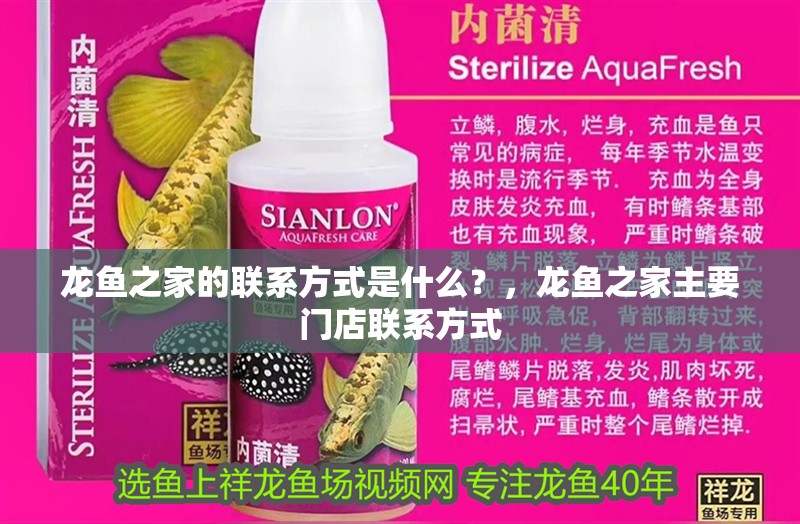 龍魚之家的聯(lián)系方式是什么？，龍魚之家主要門店聯(lián)系方式