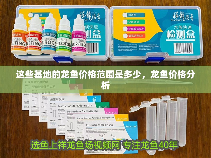 這些基地的龍魚價格范圍是多少，龍魚價格分析