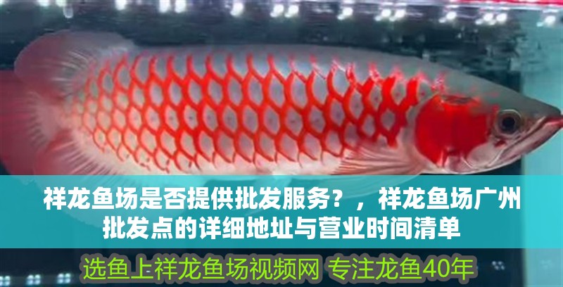 祥龍魚場是否提供批發服務？，祥龍魚場廣州批發點的詳細地址與營業時間清單