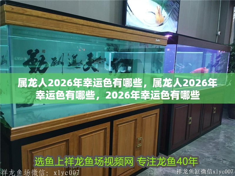 屬龍人2026年幸運(yùn)色有哪些，屬龍人2026年幸運(yùn)色有哪些，2026年幸運(yùn)色有哪些