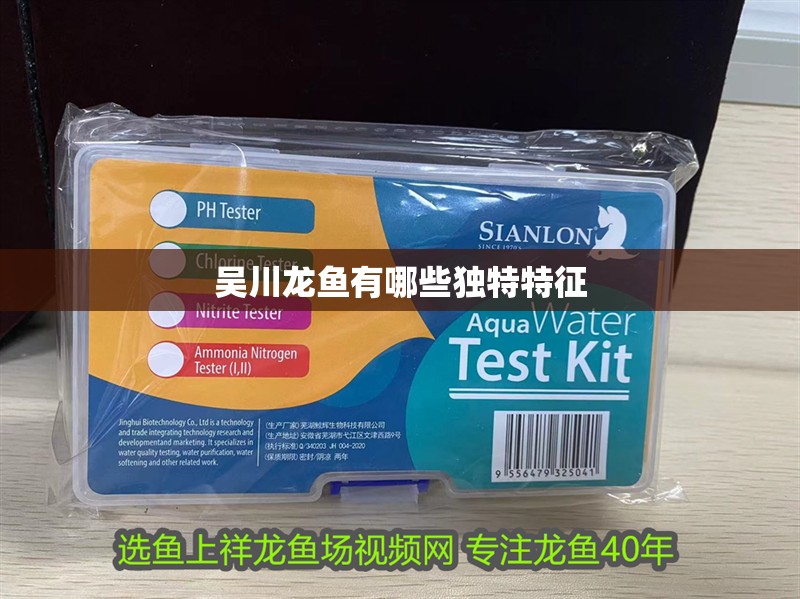 吳川龍魚有哪些獨特特征