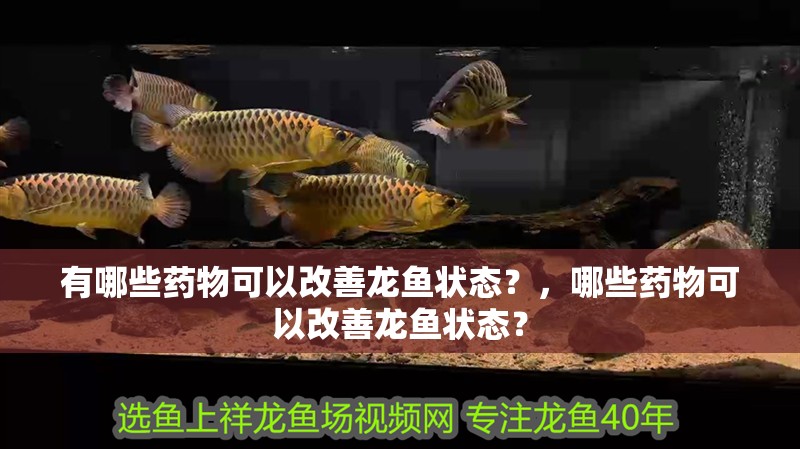 有哪些藥物可以改善龍魚狀態(tài)？，哪些藥物可以改善龍魚狀態(tài)？