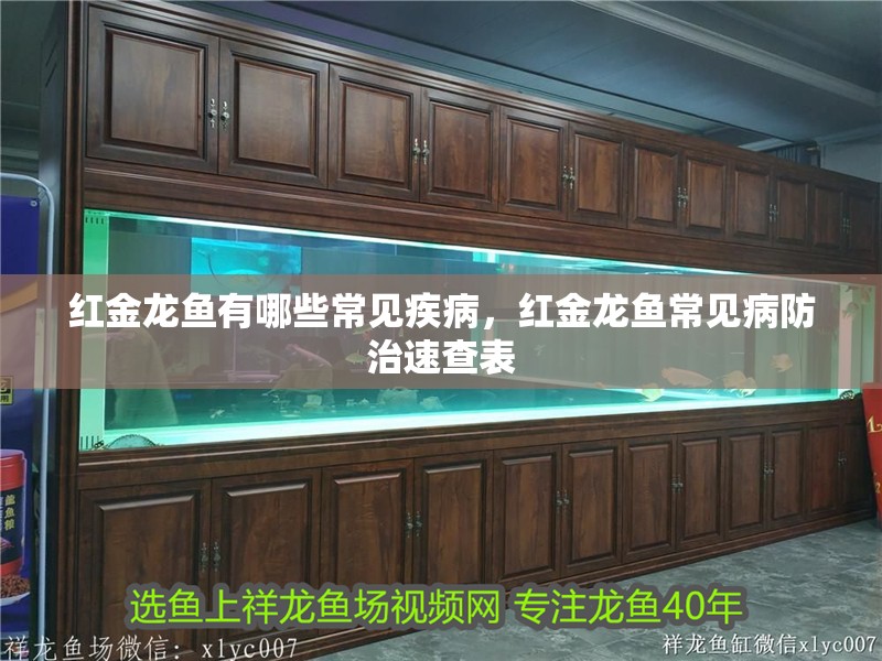 紅金龍魚有哪些常見疾病，紅金龍魚常見病防治速查表