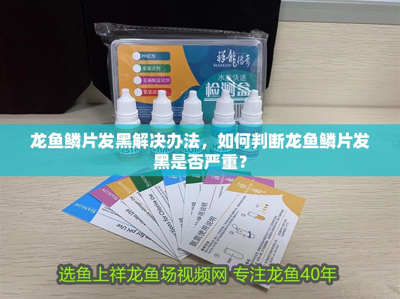 龍魚鱗片發(fā)黑解決辦法，如何判斷龍魚鱗片發(fā)黑是否嚴(yán)重？