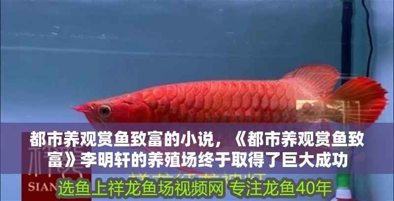 都市養(yǎng)觀賞魚致富的小說，《都市養(yǎng)觀賞魚致富》李明軒的養(yǎng)殖場終于取得了巨大成功