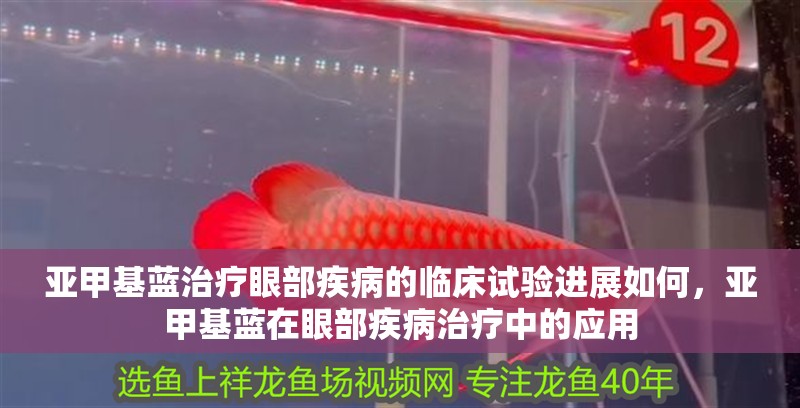 亞甲基藍(lán)治療眼部疾病的臨床試驗(yàn)進(jìn)展如何，亞甲基藍(lán)在眼部疾病治療中的應(yīng)用