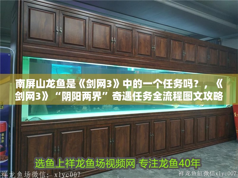 南屏山龍魚是《劍網3》中的一個任務嗎？，《劍網3》“陰陽兩界”奇遇任務全流程圖文攻略