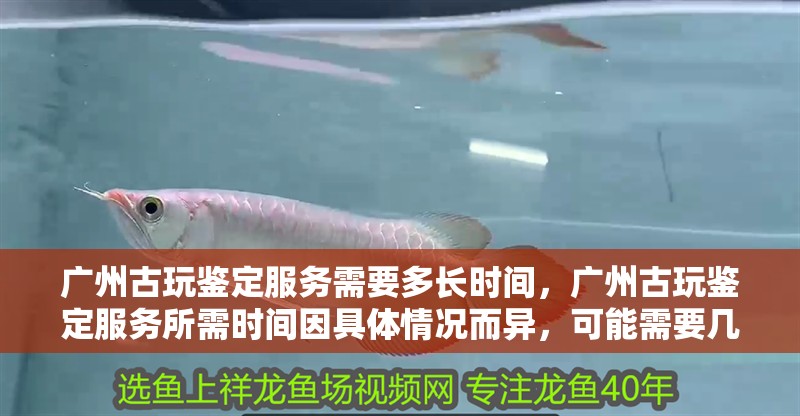 廣州古玩鑒定服務需要多長時間，廣州古玩鑒定服務所需時間因具體情況而異，可能需要幾分鐘到半小時