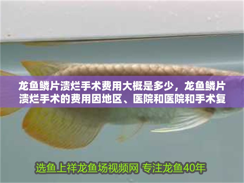 龍魚鱗片潰爛手術費用大概是多少，龍魚鱗片潰爛手術的費用因地區(qū)、醫(yī)院和醫(yī)院和手術復雜程度而異