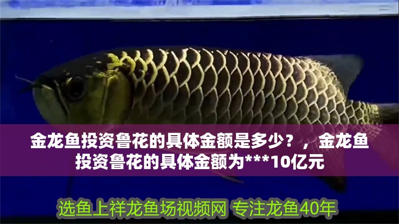 金龍魚投資魯花的具體金額是多少？，金龍魚投資魯花的具體金額為***10億元