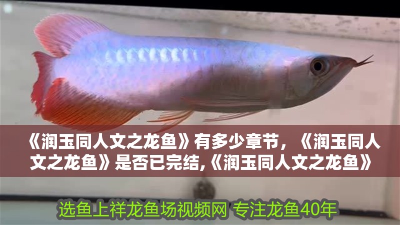 《潤玉同人文之龍魚》有多少章節，《潤玉同人文之龍魚》是否已完結,《潤玉同人文之龍魚》的結局是什么