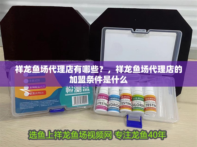 祥龍魚場代理店有哪些？，祥龍魚場代理店的加盟條件是什么