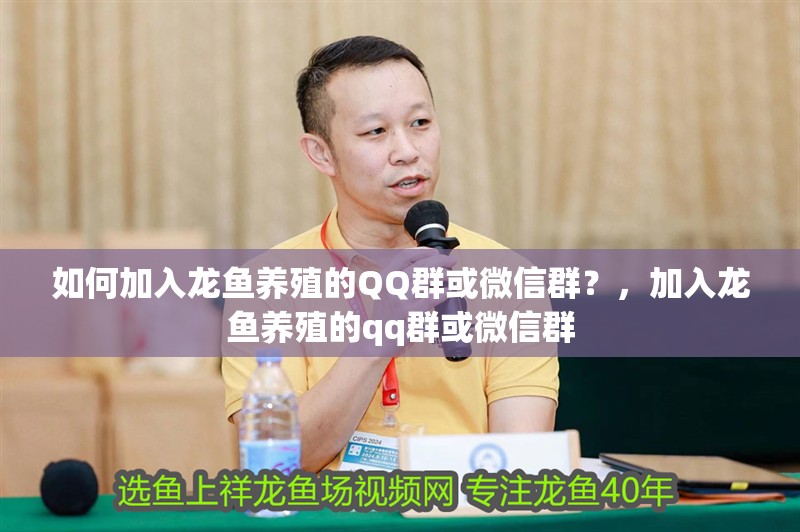 如何加入龍魚養殖的QQ群或微信群？，加入龍魚養殖的qq群或微信群