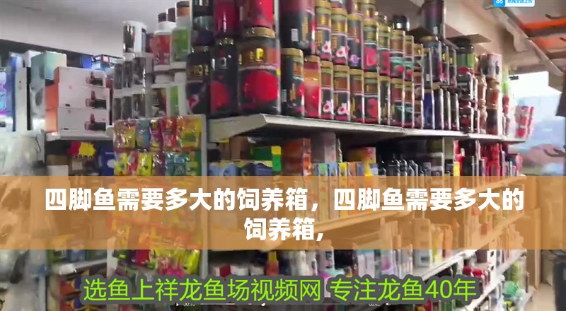 四腳魚需要多大的飼養(yǎng)箱，四腳魚需要多大的飼養(yǎng)箱,