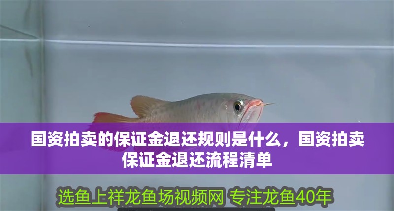 國資拍賣的保證金退還規(guī)則是什么，國資拍賣保證金退還流程清單