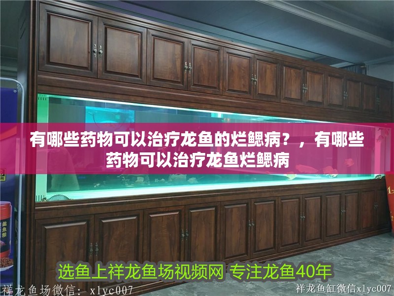 有哪些藥物可以治療龍魚的爛鰓病？，有哪些藥物可以治療龍魚爛鰓病