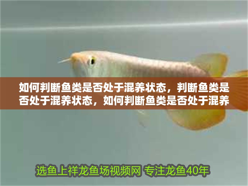 如何判斷魚類是否處于混養狀態，判斷魚類是否處于混養狀態，如何判斷魚類是否處于混養狀態