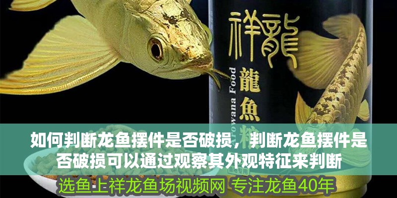如何判斷龍魚擺件是否破損，判斷龍魚擺件是否破損可以通過觀察其外觀特征來判斷