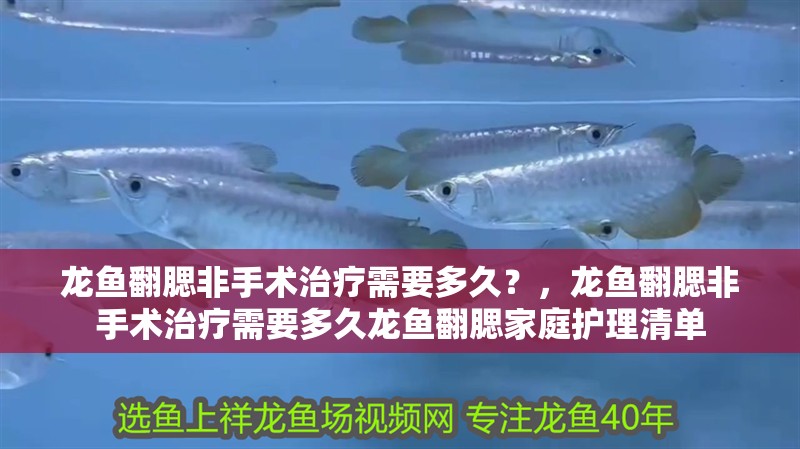 龍魚翻腮非手術(shù)治療需要多久？，龍魚翻腮非手術(shù)治療需要多久龍魚翻腮家庭護(hù)理清單