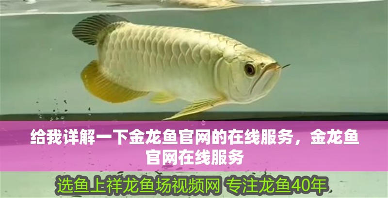 給我詳解一下金龍魚官網的在線服務，金龍魚官網在線服務