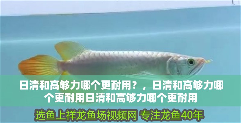 日清和高夠力哪個更耐用？，日清和高夠力哪個更耐用日清和高夠力哪個更耐用