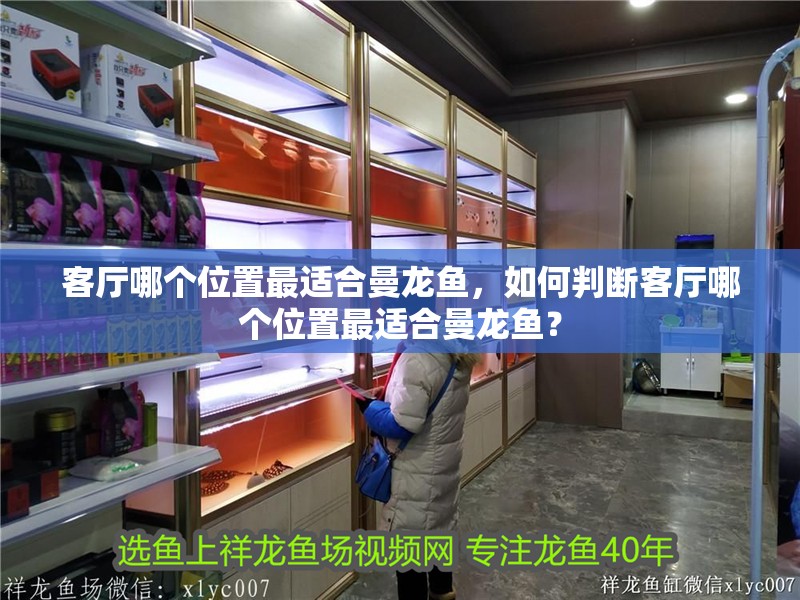 客廳哪個位置最適合曼龍魚，如何判斷客廳哪個位置最適合曼龍魚？