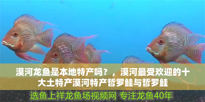 漠河龍魚是本地特產嗎？，漠河最受歡迎的十大土特產漠河特產哲羅鮭與哲羅鮭