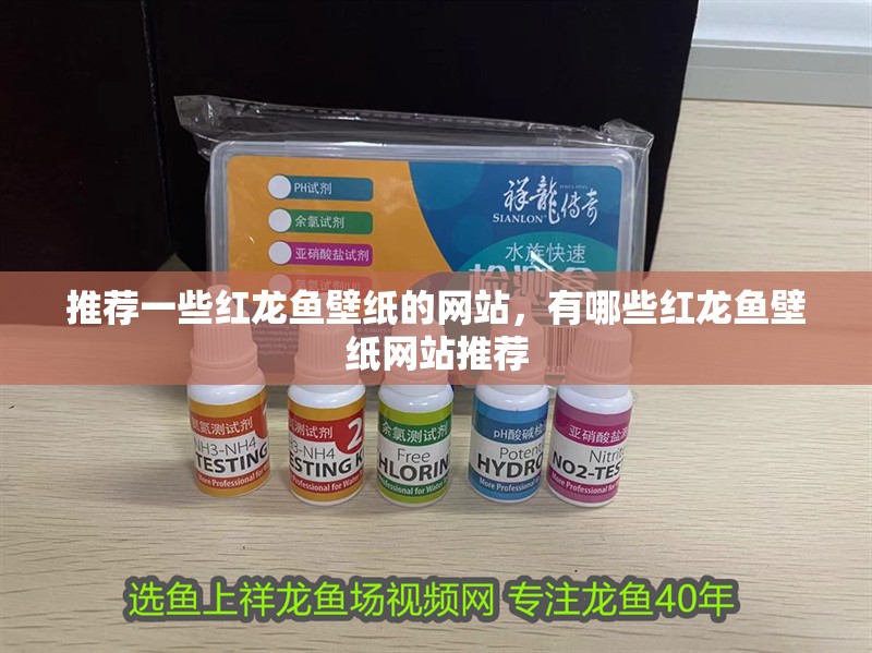 推薦一些紅龍魚壁紙的網站，有哪些紅龍魚壁紙網站推薦