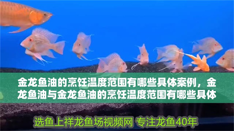 金龍魚油的烹飪溫度范圍有哪些具體案例，金龍魚油與金龍魚油的烹飪溫度范圍有哪些具體案例