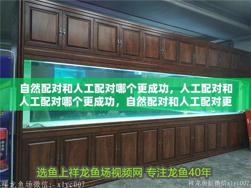 自然配對和人工配對哪個更成功，人工配對和人工配對哪個更成功，自然配對和人工配對更成功