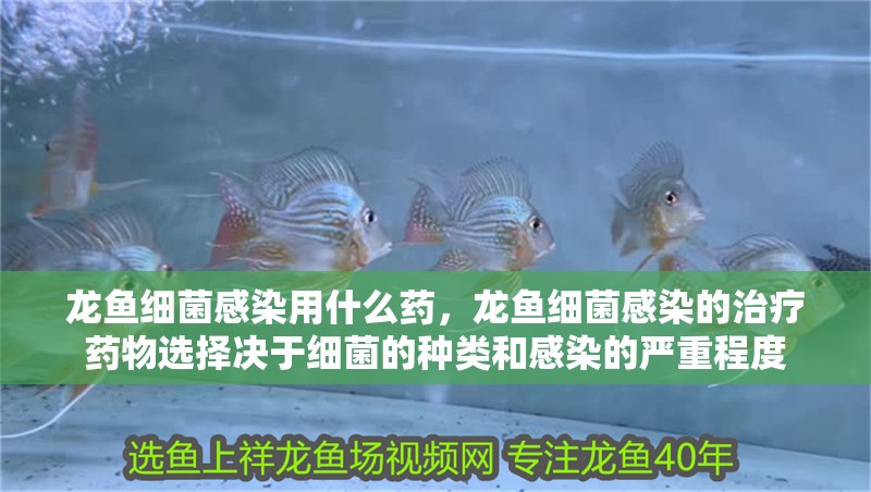 龍魚細菌感染用什么藥，龍魚細菌感染的治療藥物選擇決于細菌的種類和感染的嚴重程度