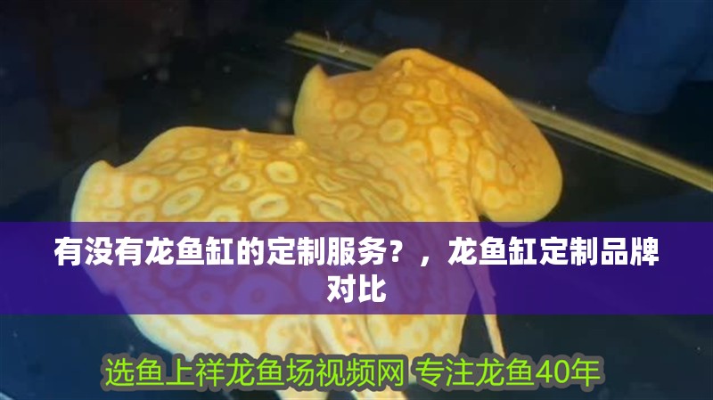 有沒(méi)有龍魚(yú)缸的定制服務(wù)？，龍魚(yú)缸定制品牌對(duì)比