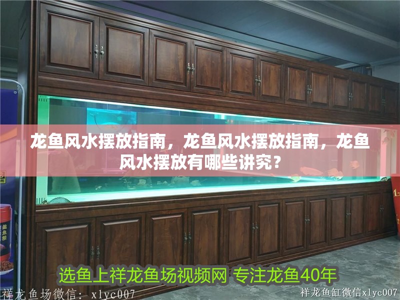 龍魚風水擺放指南，龍魚風水擺放指南，龍魚風水擺放有哪些講究？